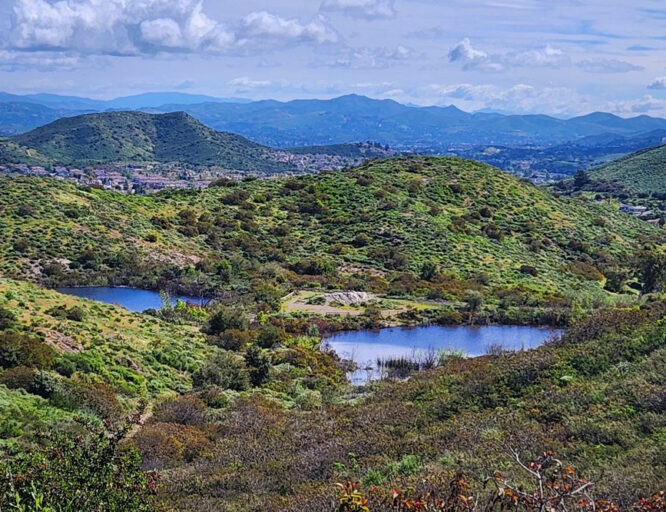 Twin Ponds hike on March 30th from the Vista del Mar Trailhead - Thousand Oaks